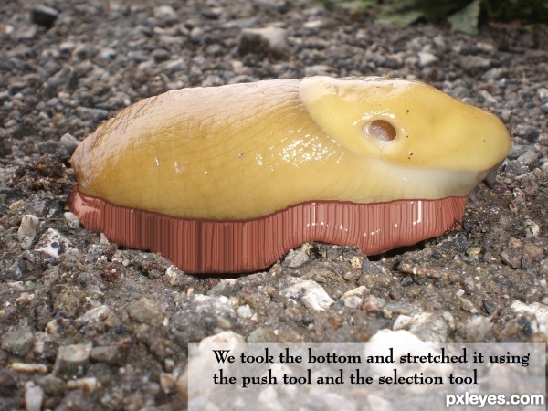 Creation of The Clog: Step 2